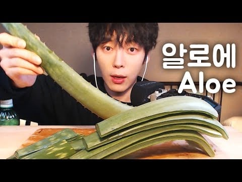 껍질째알로에 ASMR｜아삭아삭 리얼사운드 먹방 리뷰 ｜ASMR ALOE VERA (CHALLENGE)  Eating sounds (ASMR SIO 시오)