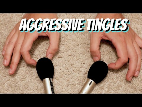 Aggressive Scratching ASMR on the Carpet
