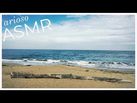 Need a break? Let's go to the beach! (ASMR)