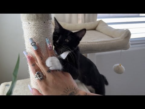 ASMR Around My Home *fast & aggressive*