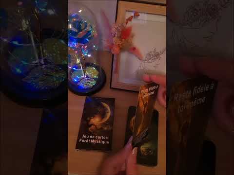 La carte du jour 🃏avec le chant des cigales🪰( grrr et en fin de vidéo une mouche 🦗) sons réels.