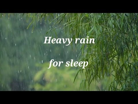 Heavy Rain Sounds for Deep Sleep 🌧️