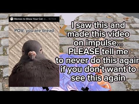 “ASMR” Roleplay: You, a Pigeon, Acquire an Edible Bread Artifact Filthy Bread Traitor