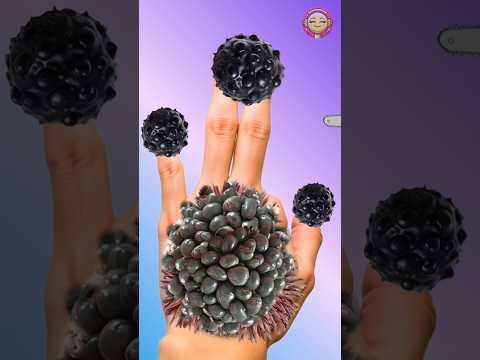 Clean Your Hand 👌 By Asmr saura care 😭#animation