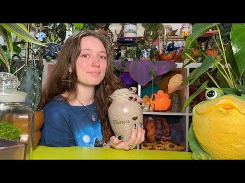 Super sad life update + Repotting a bunch of my  house plants🪴
