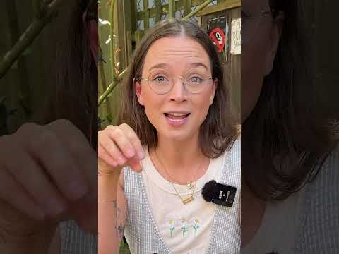 What's your terrible habit?
