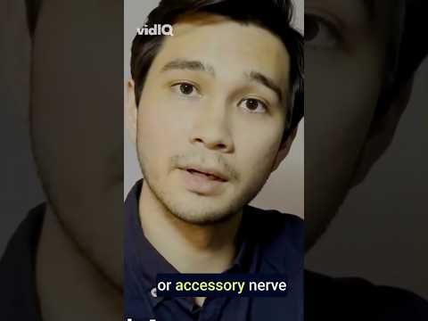 So...What Are The 12 Cranial Nerves?! #asmr #shorts #medicalasmr