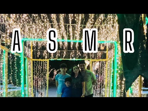 ASMR VLOG MI TARDE NAVIDEÑA EN FAMILIA 