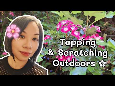 ASMR Outdoors - Garden Tour - Tapping and Scratching, Nature Sounds for Sleep, No Talking🌼