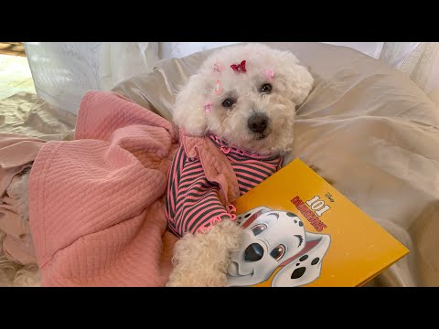 Asmr Relaxing Reading | (Tapping, Soft Whispering & Mouth Sounds)