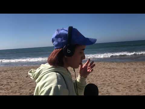 Intento hacer asmr en la playa