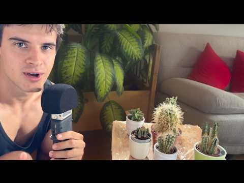 ASMR Spraying My Cacti 🌵