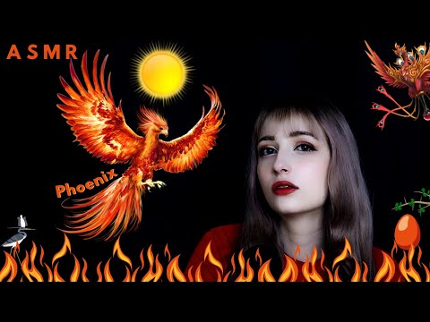 ASMR Mythology│Phoenix & Vermilion Bird 🐦🔥