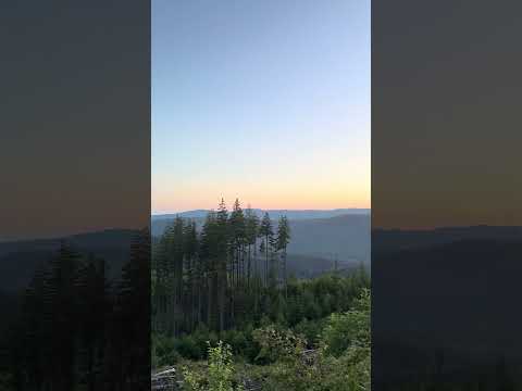 Nature ASMR #asmr #visualtingle #relax #nature
