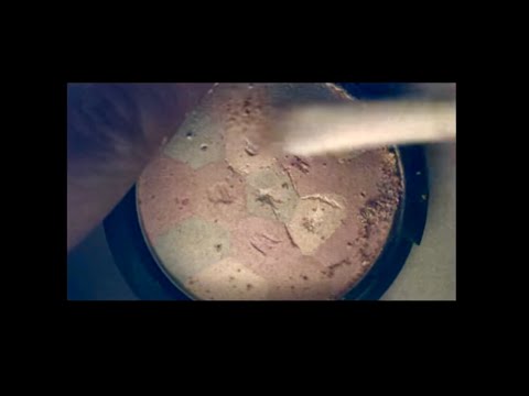 ASMR - Closely Inspecting Items - Softly Spoken