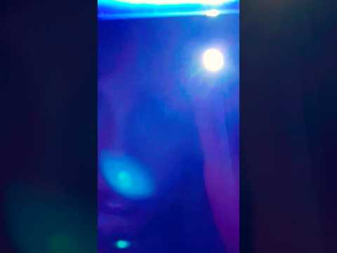 {ASMR} ONLY THE BRIGHT LIGHT NOT #asmr #shorts #shorts video #shortsfeed #asmrtriggers #asmrlights