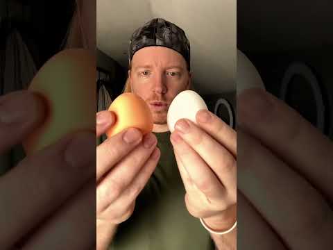 ASMR Squishy Eggs #asmr
