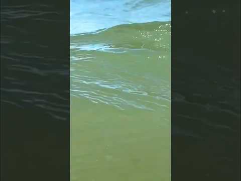 ASMR Windy Waves Soothe Your Brain 🌊💙🌊 #relaxing #beach