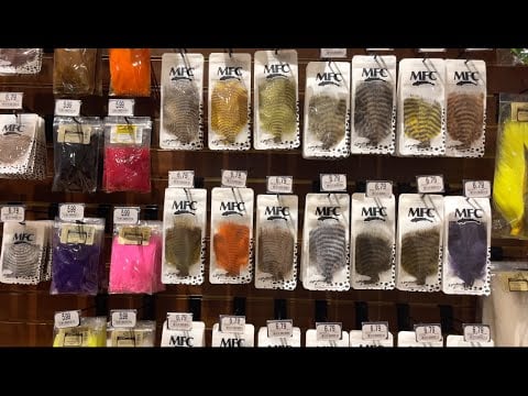 ASMR - Bass Pro Shop Walkthrough - Softly Spoken