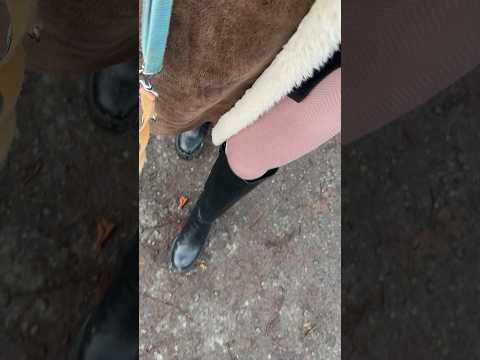 ASMR auf einem Weg, der mit Regen bedeckt ist. 😊