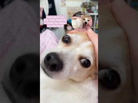 This is my baby. I birthed him. #asmr #asmrdog #mouthsounds #sleep #tingles #whispering #relaxing