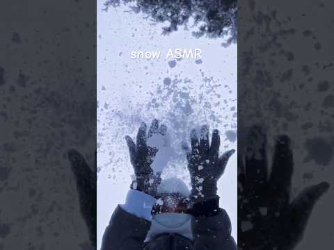 asmr walking in a snow storm (crunchy sounds)  #asmr