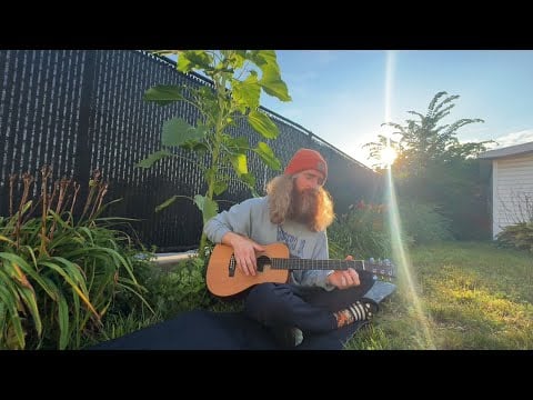 ASMR💫 Soft Guitar Meditation🌳Oak Tree Inspired💫(Lofi)