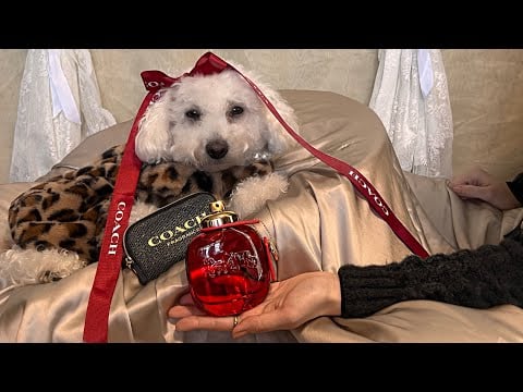 ASMR Perfume Salesperson Roleplay for sleep