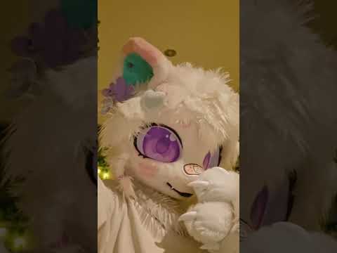 Fursuits cost alot of $$$