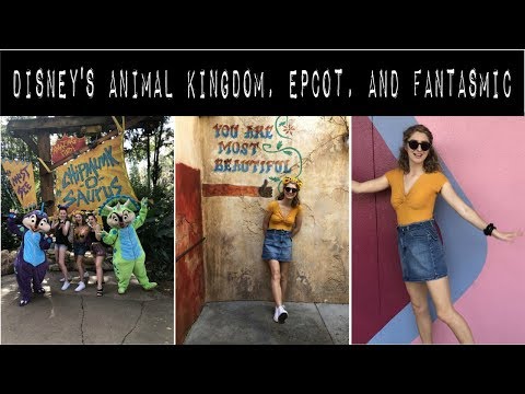 disney animal kingdom, epcot, and fantasmic // dcp spring 2019