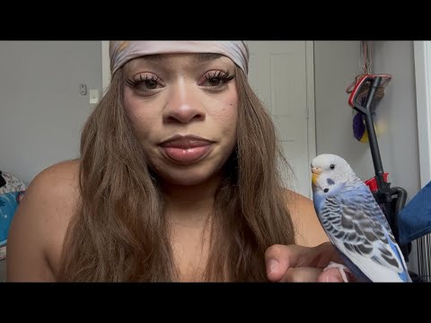 ASMR Budgie Bird💕 (Mouth Sounds, Bird Sounds and More)