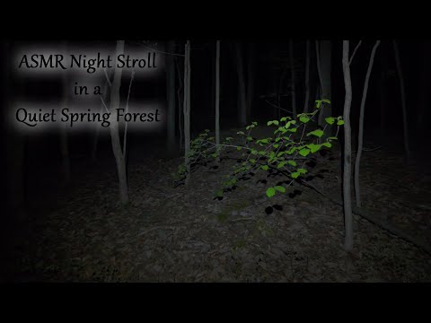 ASMR Night Stroll in a Quiet Spring Forest