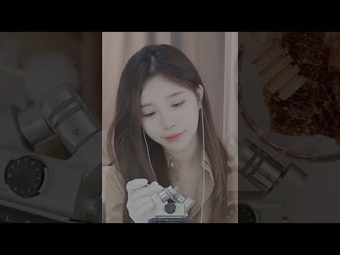 Ear Paradise!👂🏻 다양한 팅글 (벌집꿀,거품,브러쉬,솜털귀이개,면봉,오일) l KoreanASMR l Ear cleaning