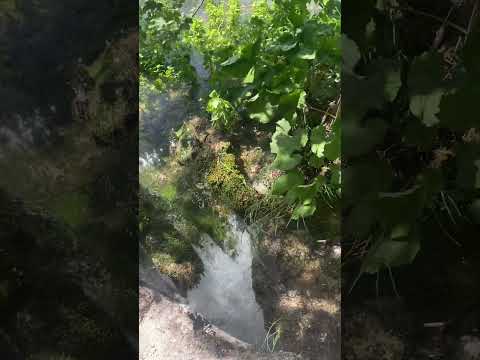 #asmr #chuchotement #nature #asmrsounds #lake #asmrvideo #waterfall #tingles #river #rain