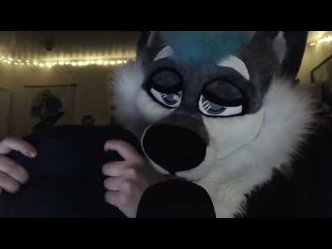 Fluff Fluff Pillow uwu [FURRY ASMR]