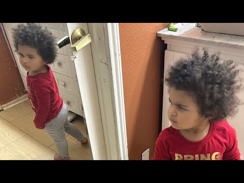 Vlog #64 - Nick Cleaned The Shed