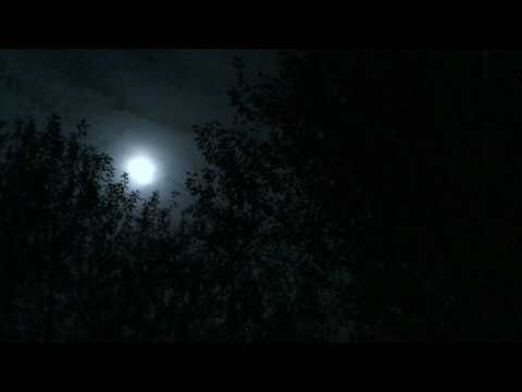 Whisper YOU to sleep in the light of the🌕 Beaver Moon [[ASMR]]