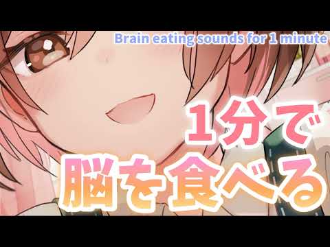 【ASMR】早食い🔥1分で脳を食べる[One-minute Brain-eating sounds]