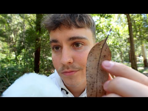 ASMR Deep in the Rainforest 🍂 Nature Sounds, Wood Tapping & Leaf Scratching