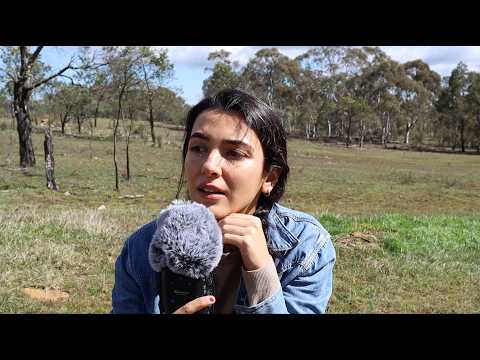 ASMR in a Farm