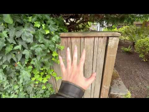 3+HR ASMR Nature Walk (1hr loop)