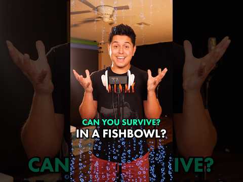 Can You Survive in a Fishbowl? 👀 | #ASMR