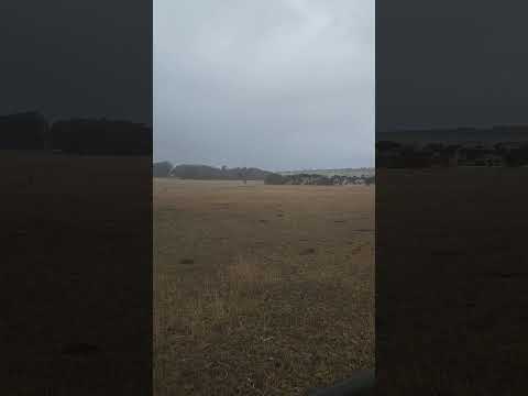 rural australia sounds beautiful 🩶 #australia #australian #countryside #rural #asmr #asmrsounds