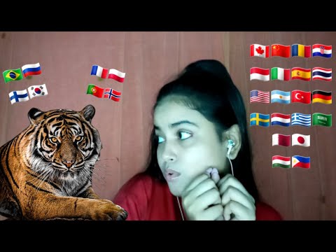 ASMR Whispering *Tiger* in 30+ Different Languages