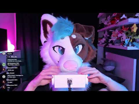Dog touches your ears (disrespectfully)