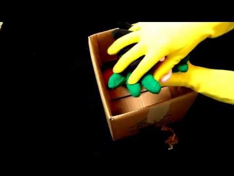 [ ASMR ] Rubber  Gloves