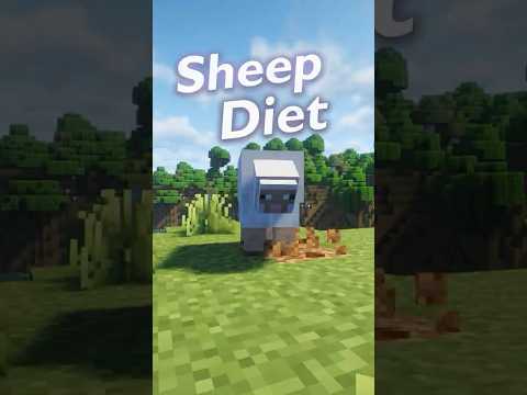 The Diet of a Minecraft Sheep 🐑 #minecraft  #asmr