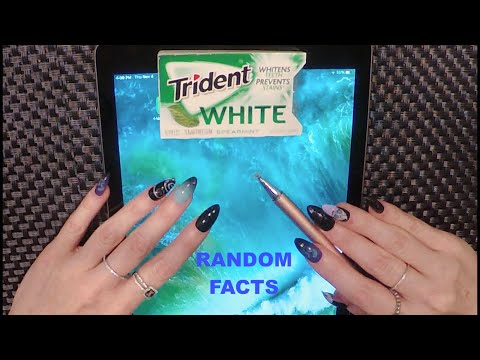 ASMR Gum Chewing Random Facts on Ipad | Tingly Whisper