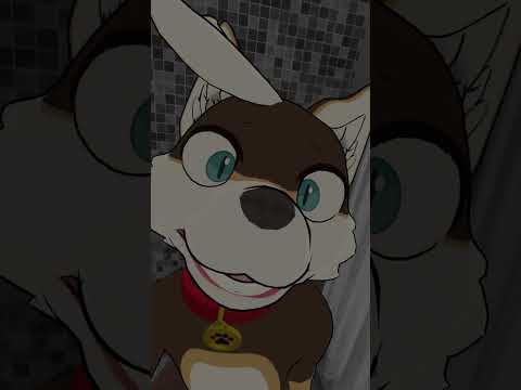 Dog drops the soap in the shower #furry #asmr #furryasmr #showersounds