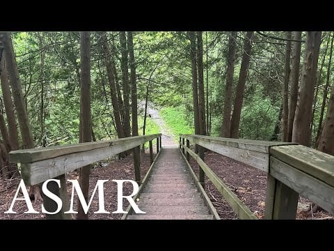 ASMR on a Walking Trail | Lofi Camera Scratching and Tapping for Sleep
